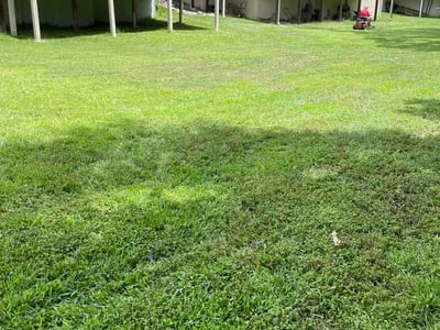Lawn Care service in Gainesville, 30501