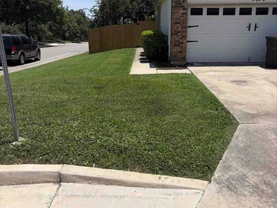 Lawn Care service in Selma, 78154