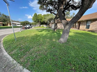 Lawn Care service in Selma, 78154