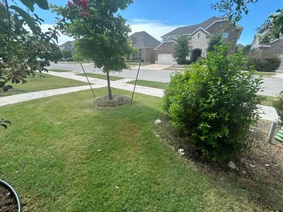 Lawn Care service in Texarkana, 75501