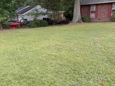 Lawn Care service in Forest Park, 30297