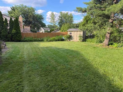 Lawn Care service in New Albany, 43054