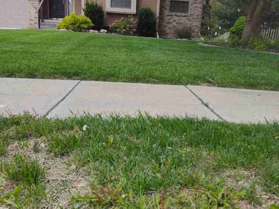 Lawn Care service in Billings, 59101