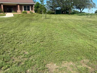 Lawn Care service in La Vernia, 78121