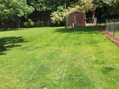 Lawn Care service in Burlington, 27215