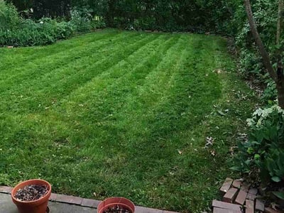 Lawn Care service in Beloit, 53511