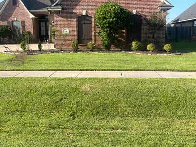 Lawn Care service in Pineville, 71360