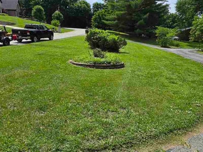 Lawn Care service in Bolivar, 65613