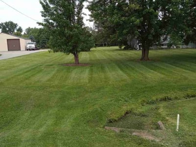 Lawn Care service in Menasha, 54952