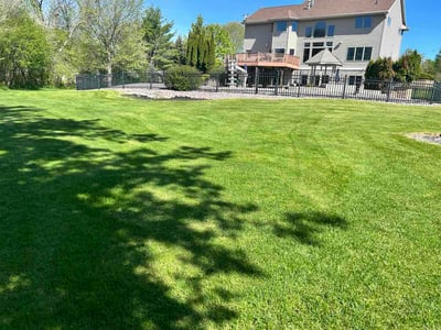 Lawn Care service in Menasha, 54952