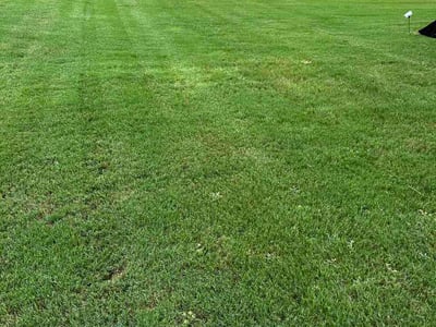 Lawn Care service in Jonesboro, 30236
