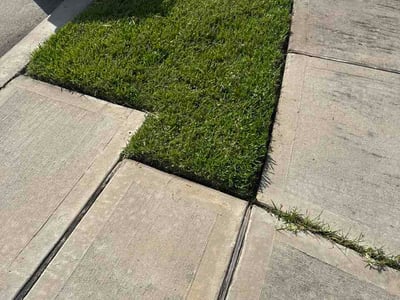 Lawn Care service in Seabrook, 77586