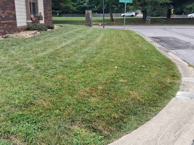 Lawn Care service in Terre Haute, 47807