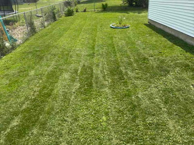 Lawn Care service in Waterloo, 50701