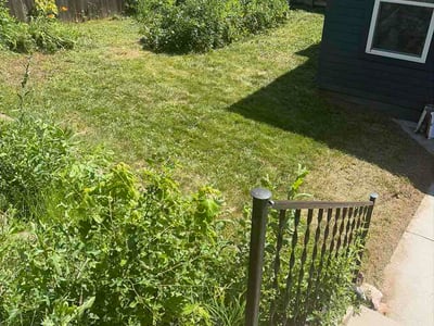 Lawn Care service in Plattsmouth, 68048