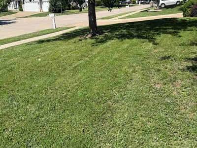 Lawn Care service in Wentzville, 63385