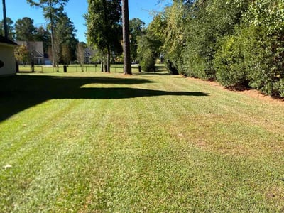 Lawn Care service in Rocky Mount, 27801