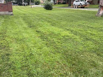 Lawn Care service in Waterloo, 64097