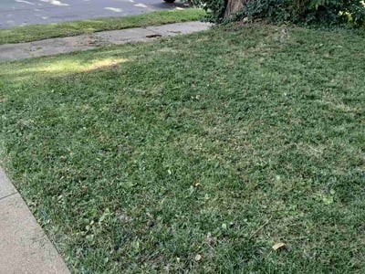 Lawn Care service in Waterloo, 64097