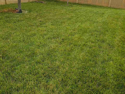Lawn Care service in Columbia, 65201