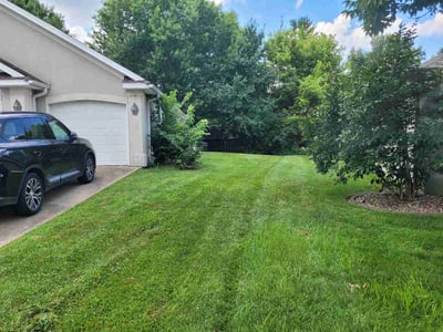 Lawn Care service in Columbia, 65201