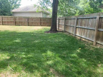 Lawn Care service in Columbia, 65201