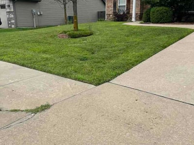 Lawn Care service in Columbia, 65201