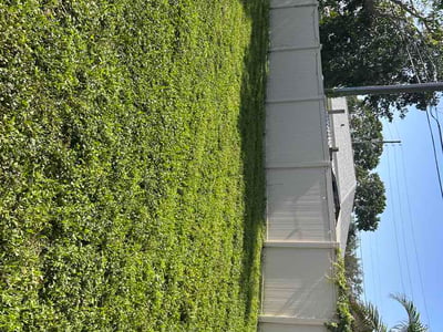 Lawn Care service in St. Petersburg, 33701