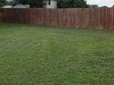 Lawn Care service in Tomball, 77375