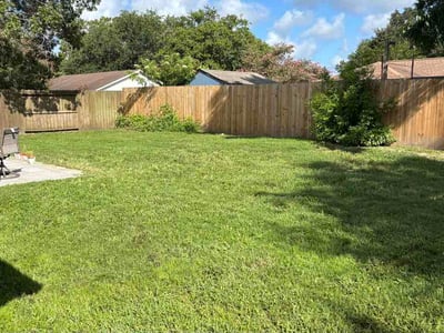 Lawn Care service in League City, 77573