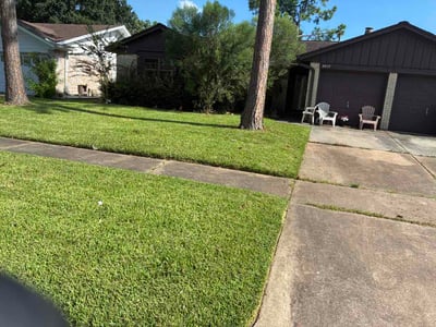 Lawn Care service in Tomball, 77375