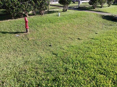 Lawn Care service in League City, 77573