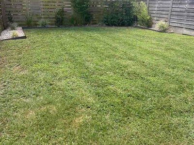 Lawn Care service in Stafford, 77477
