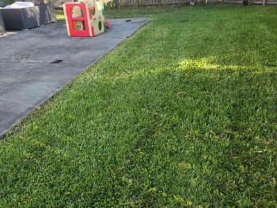 Lawn Care service in Stafford, 77477