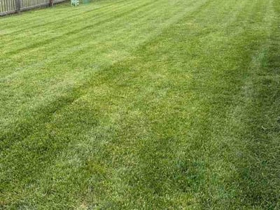 Lawn Care service in Kaysville, 84037