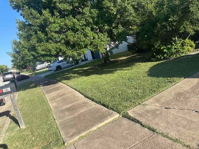 Lawn Care service in North Richland Hills, 76180