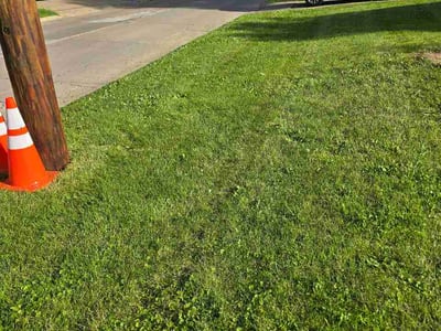 Lawn Care service in Cedar Falls, 50613