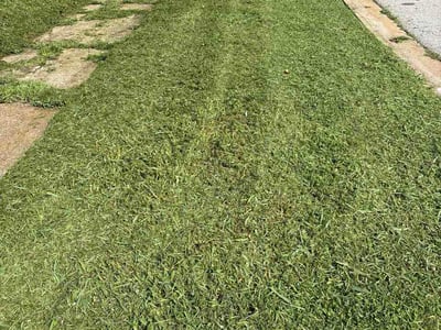 Lawn Care service in Jennings, 63136