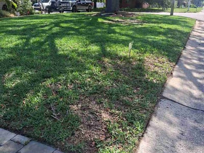 Lawn Care service in Vero Beach, 32960