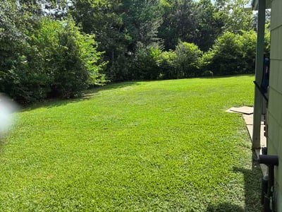 Lawn Care service in Pasadena, 77506