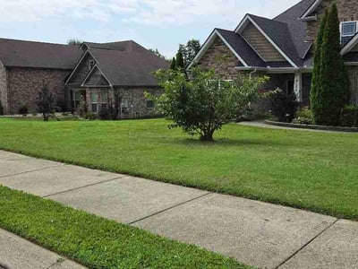 Lawn Care service in Spring Hill, 37174