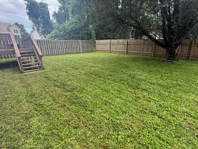 Lawn Care service in Spring Hill, 37174