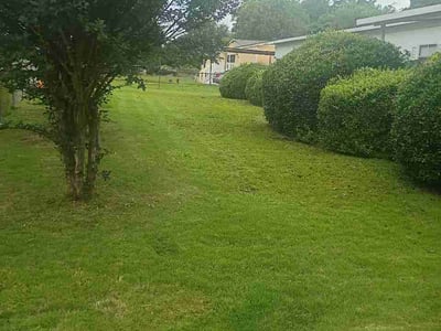 Lawn Care service in Warner Robins, 31088