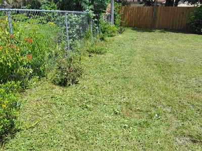 Lawn Care service in Pittsfield, 01201
