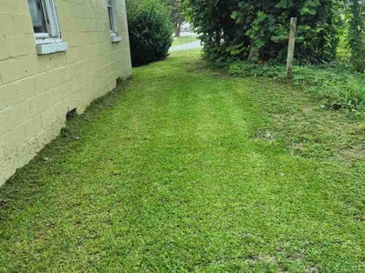 Lawn Care service in Southport, 28461