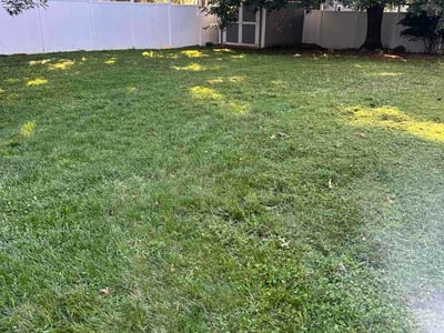 Lawn Care service in Eureka, 63025
