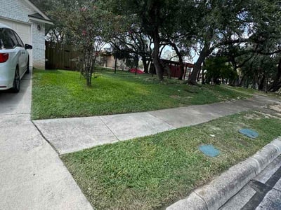 Lawn Care service in Alamo Heights, 78209