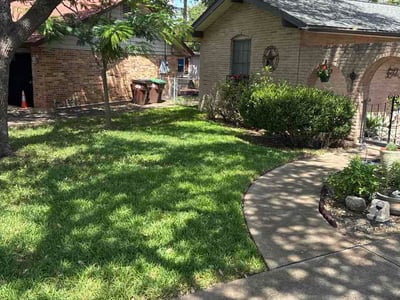 Lawn Care service in Alamo Heights, 78209