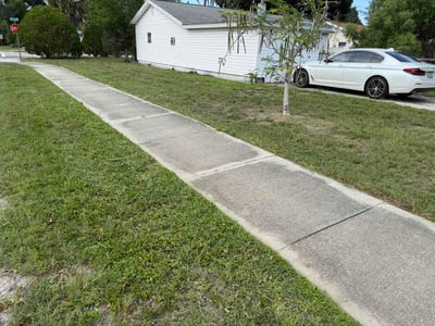 Lawn Care service in Valrico, 33594