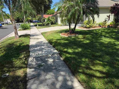 Lawn Care service in New Port Richey, 34652